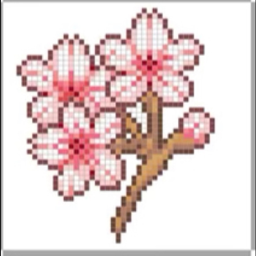 Meet your Posher, Dina